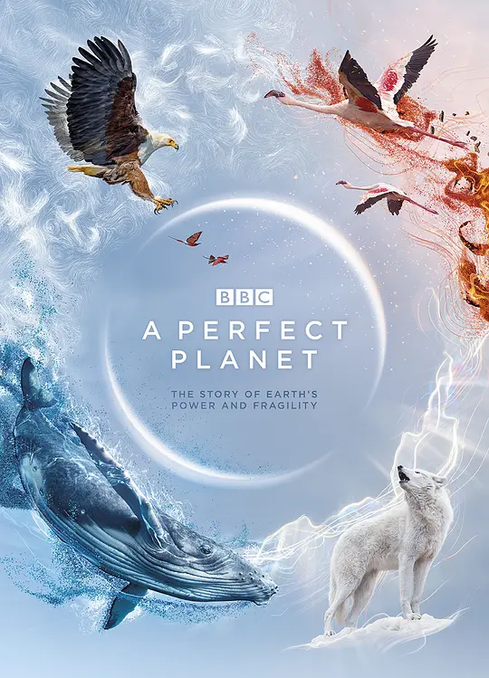 完美星球 A Perfect Planet