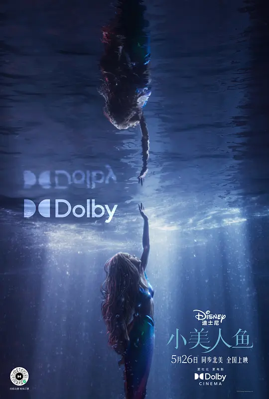 小美人鱼 The Little Mermaid