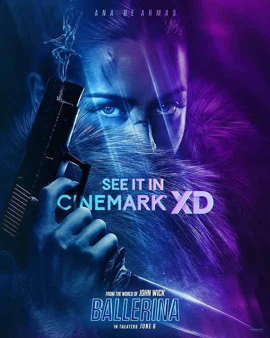 疾速追杀：芭蕾杀姬