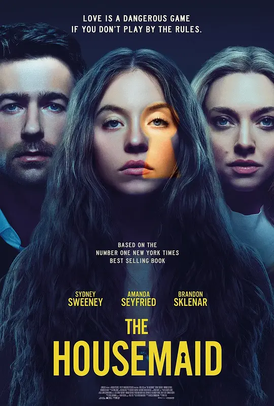 家弑服务 The Housemaid