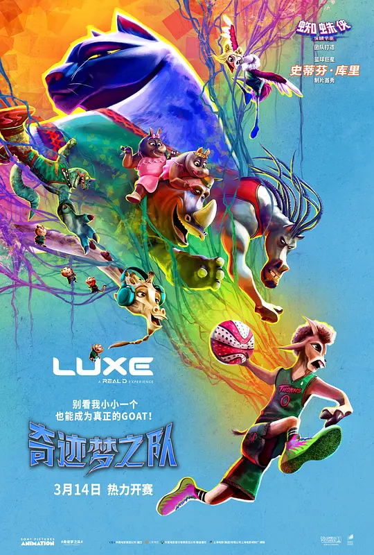 奇迹梦之队