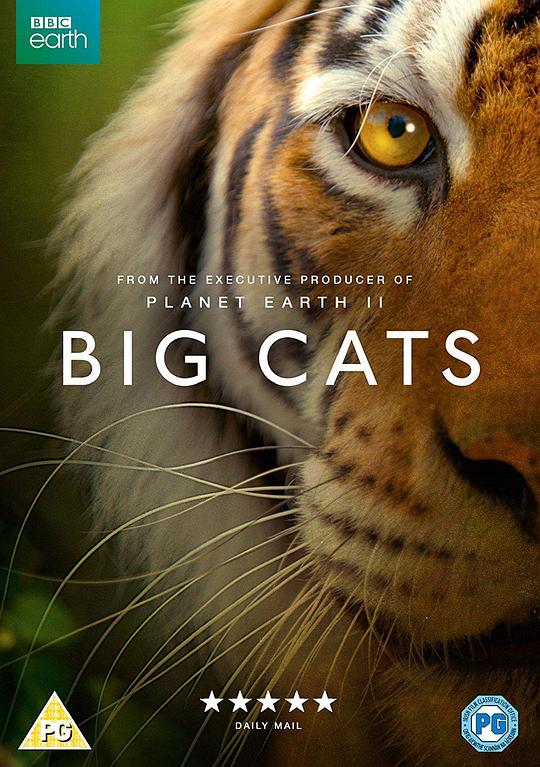 大猫 Big Cats