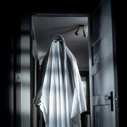 月光光心慌慌 Halloween (1978) 剧照 4