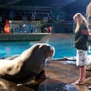 初恋50次 50 First Dates (2004) 剧照 4