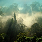 我们的星球 剧照 5