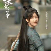 珠帘玉幕 (2024) 剧照
