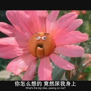 逃出布迪秀 Buddy (2026) 剧照 6