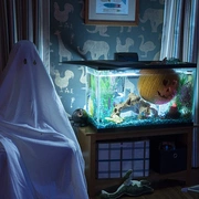 月光光心慌慌 Halloween (2018) 剧照 5